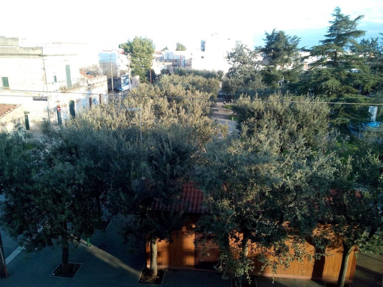 "La Casa Di Mariagrazia" Appartamento 4 Locali Sammichele Di Bari Exterior photo
